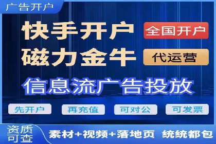 某企业SEM广告投放的转化率提升秘诀